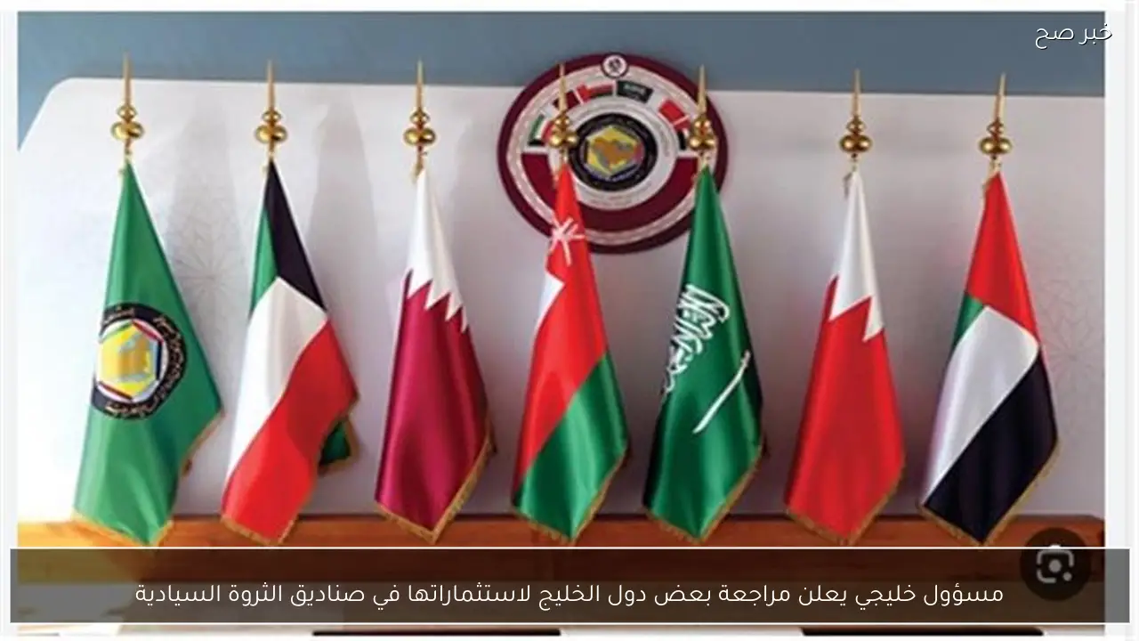 مسؤول خليجي يعلن مراجعة بعض دول الخليج لاستثماراتها في صناديق الثروة السيادية