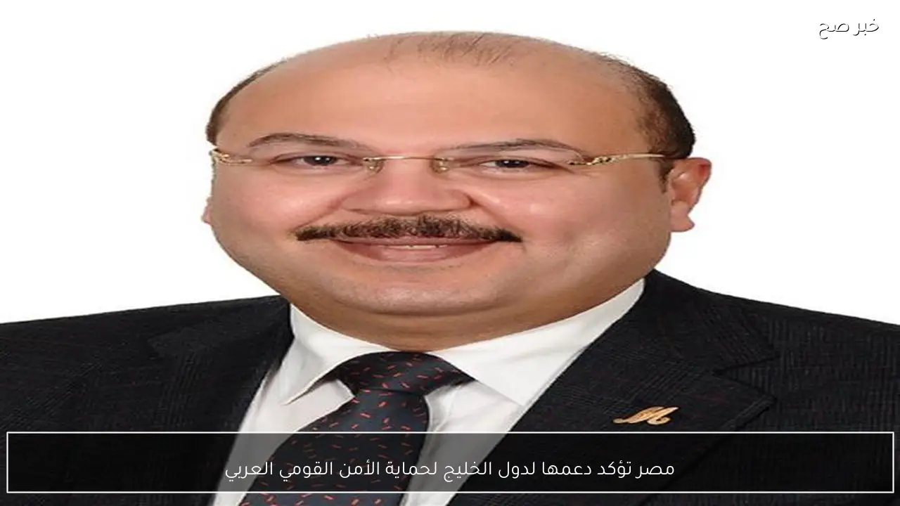مصر تؤكد دعمها لدول الخليج لحماية الأمن القومي العربي