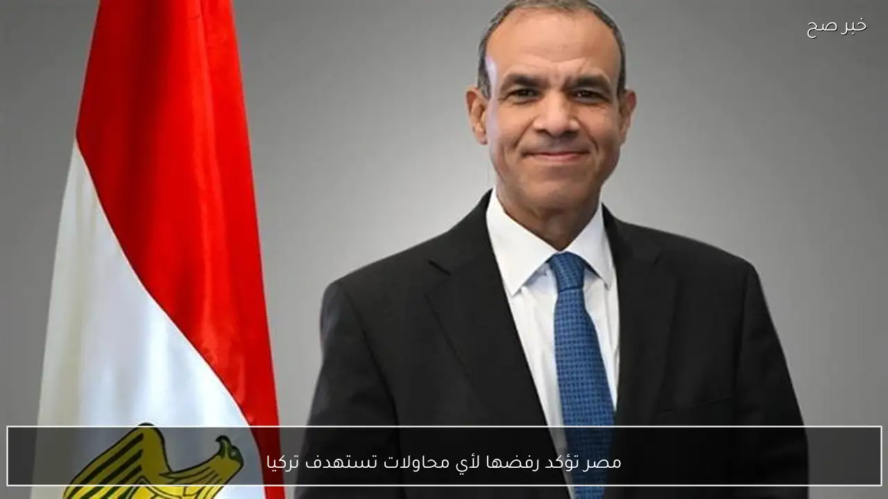 مصر تؤكد رفضها لأي محاولات تستهدف تركيا