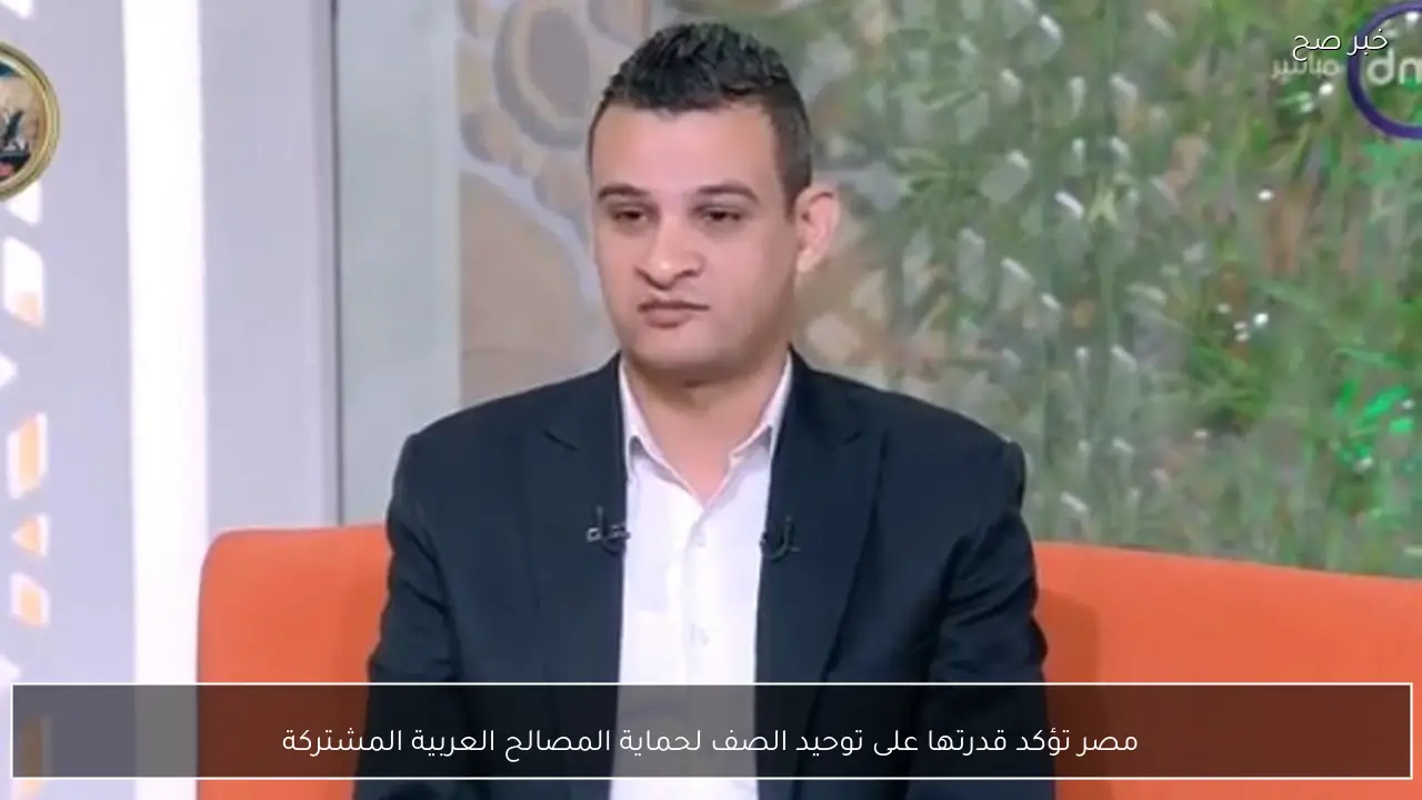 مصر تؤكد قدرتها على توحيد الصف لحماية المصالح العربية المشتركة