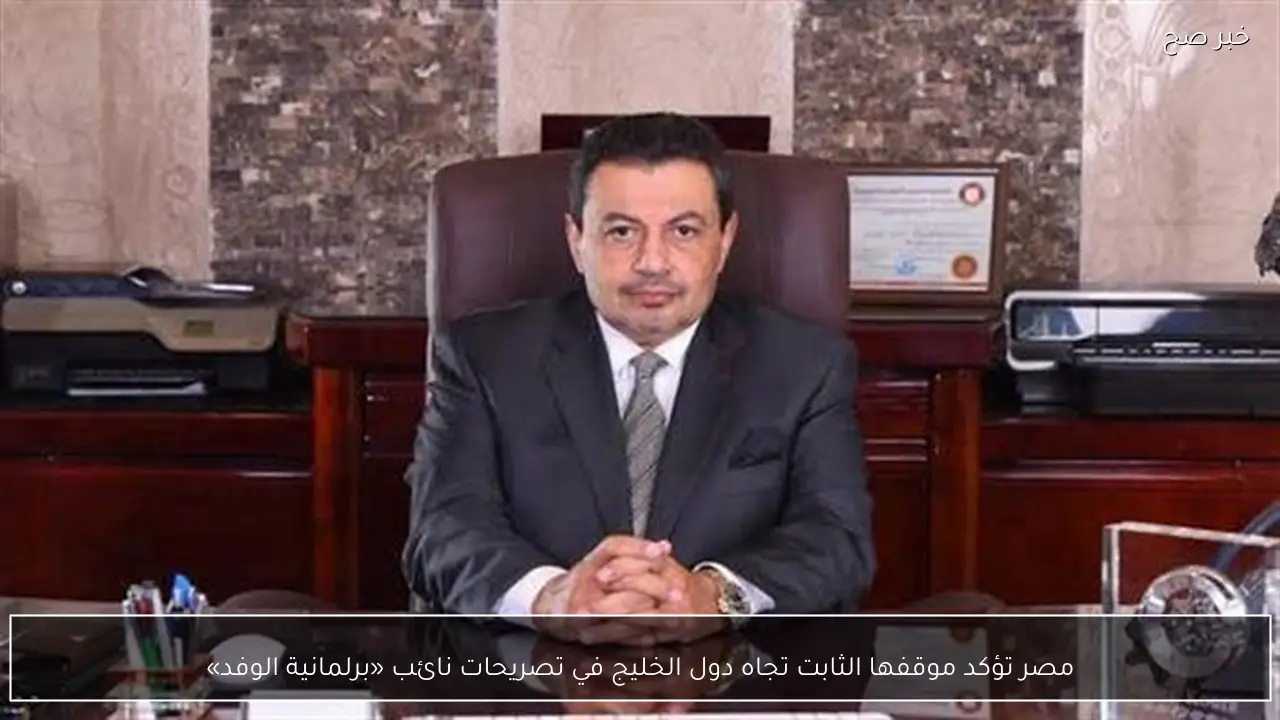 مصر تؤكد موقفها الثابت تجاه دول الخليج في تصريحات نائب «برلمانية الوفد»