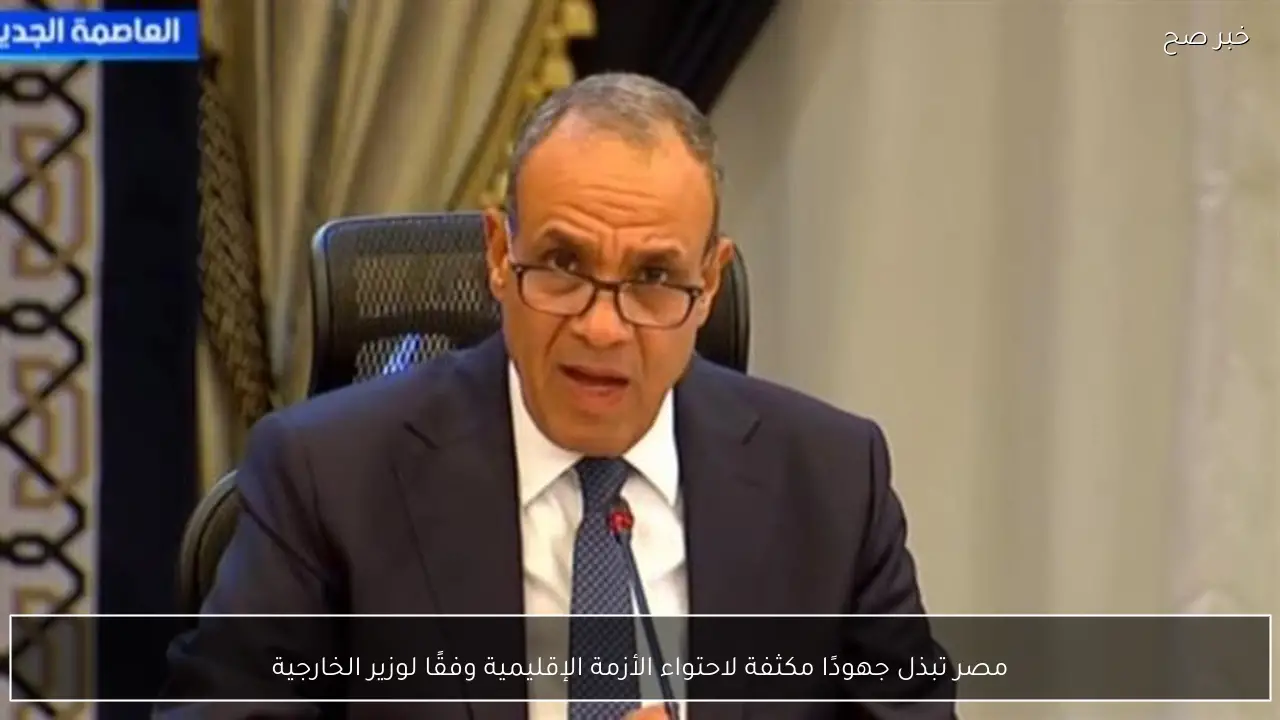مصر تبذل جهودًا مكثفة لاحتواء الأزمة الإقليمية وفقًا لوزير الخارجية