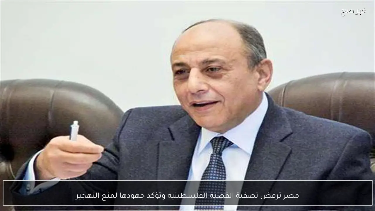 مصر ترفض تصفية القضية الفلسطينية وتؤكد جهودها لمنع التهجير