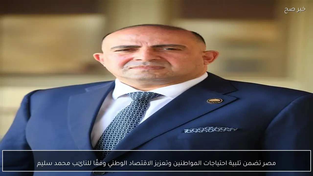 مصر تضمن تلبية احتياجات المواطنين وتعزيز الاقتصاد الوطني وفقًا للنائب محمد سليم