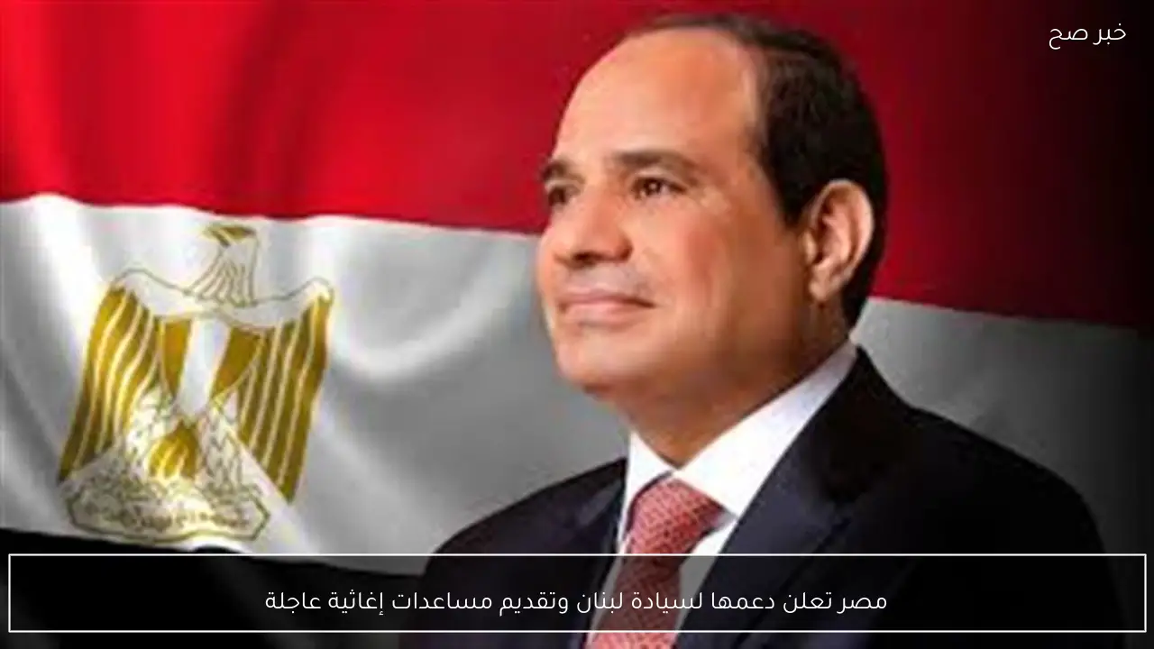 مصر تعلن دعمها لسيادة لبنان وتقديم مساعدات إغاثية عاجلة