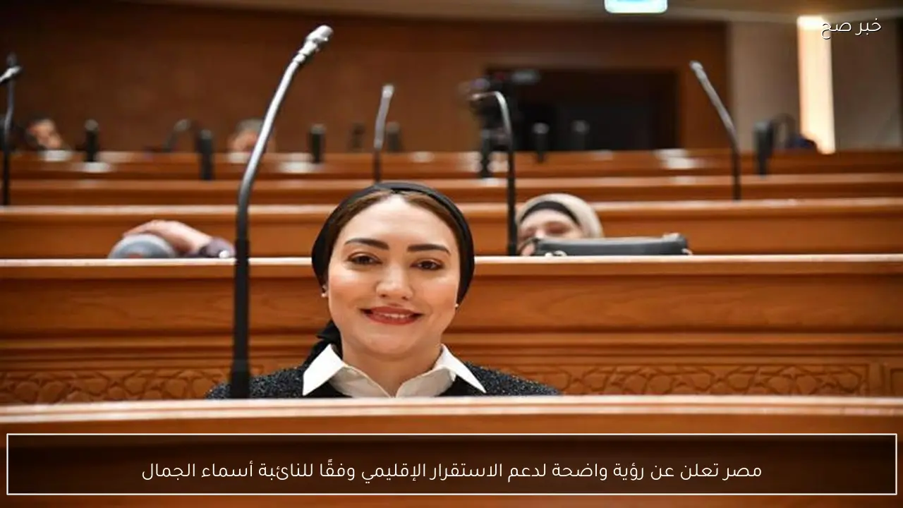 مصر تعلن عن رؤية واضحة لدعم الاستقرار الإقليمي وفقًا للنائبة أسماء الجمال