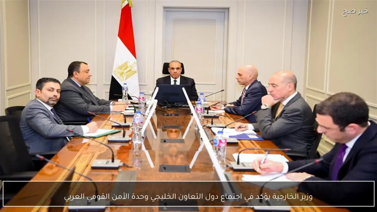 وزير الخارجية يؤكد في اجتماع دول التعاون الخليجي وحدة الأمن القومي العربي