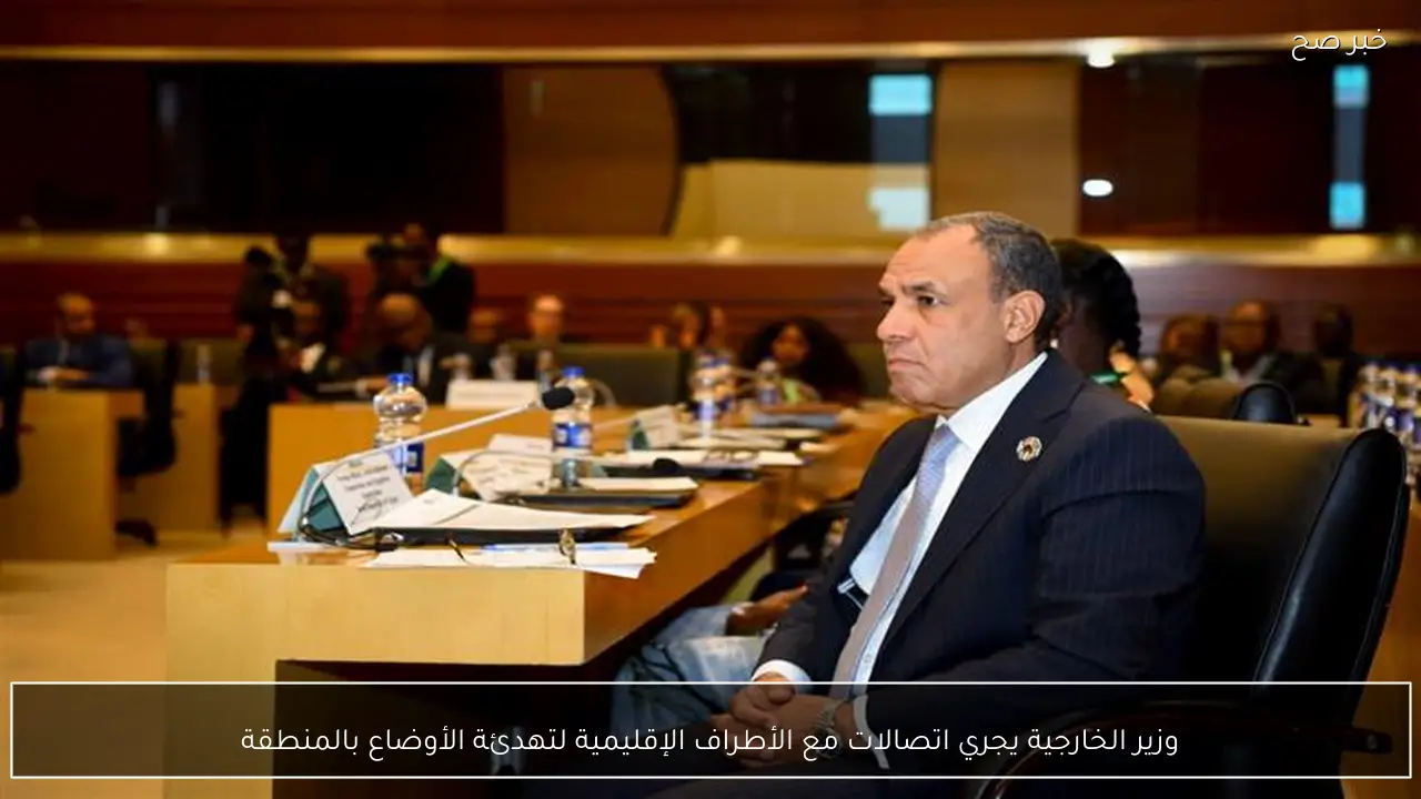 وزير الخارجية يجري اتصالات مع الأطراف الإقليمية لتهدئة الأوضاع بالمنطقة