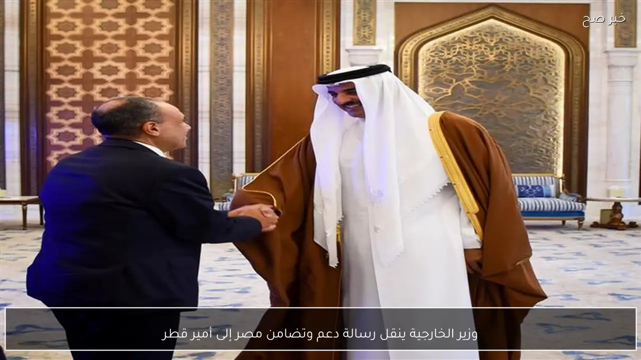 وزير الخارجية ينقل رسالة دعم وتضامن مصر إلى أمير قطر