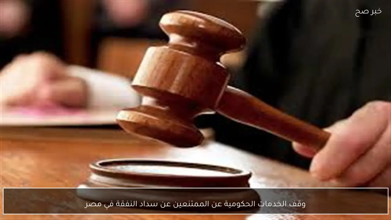 وقف الخدمات الحكومية عن الممتنعين عن سداد النفقة في مصر